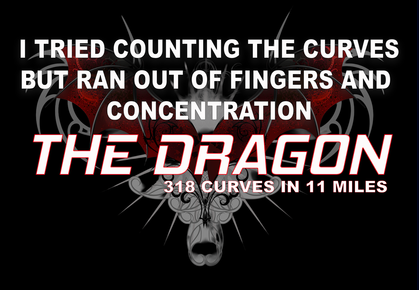 Dragon Concentration Tee Shirt