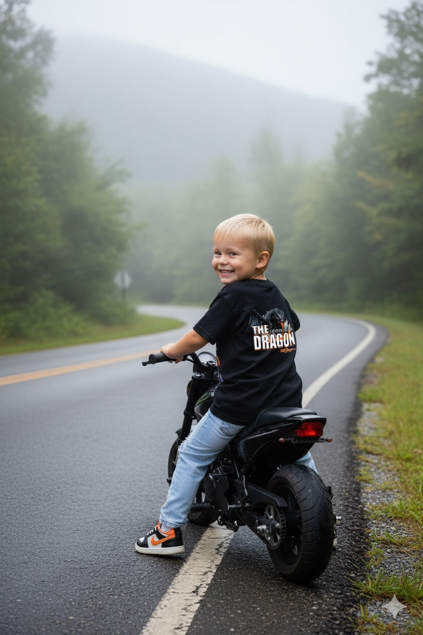 Tame The Curves: with a Dragon Tee Shirt