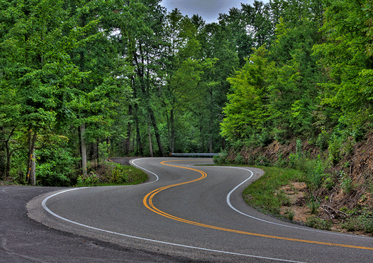 Print of Picnic Table Turn