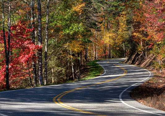 Print of The Rhythm Section Turn